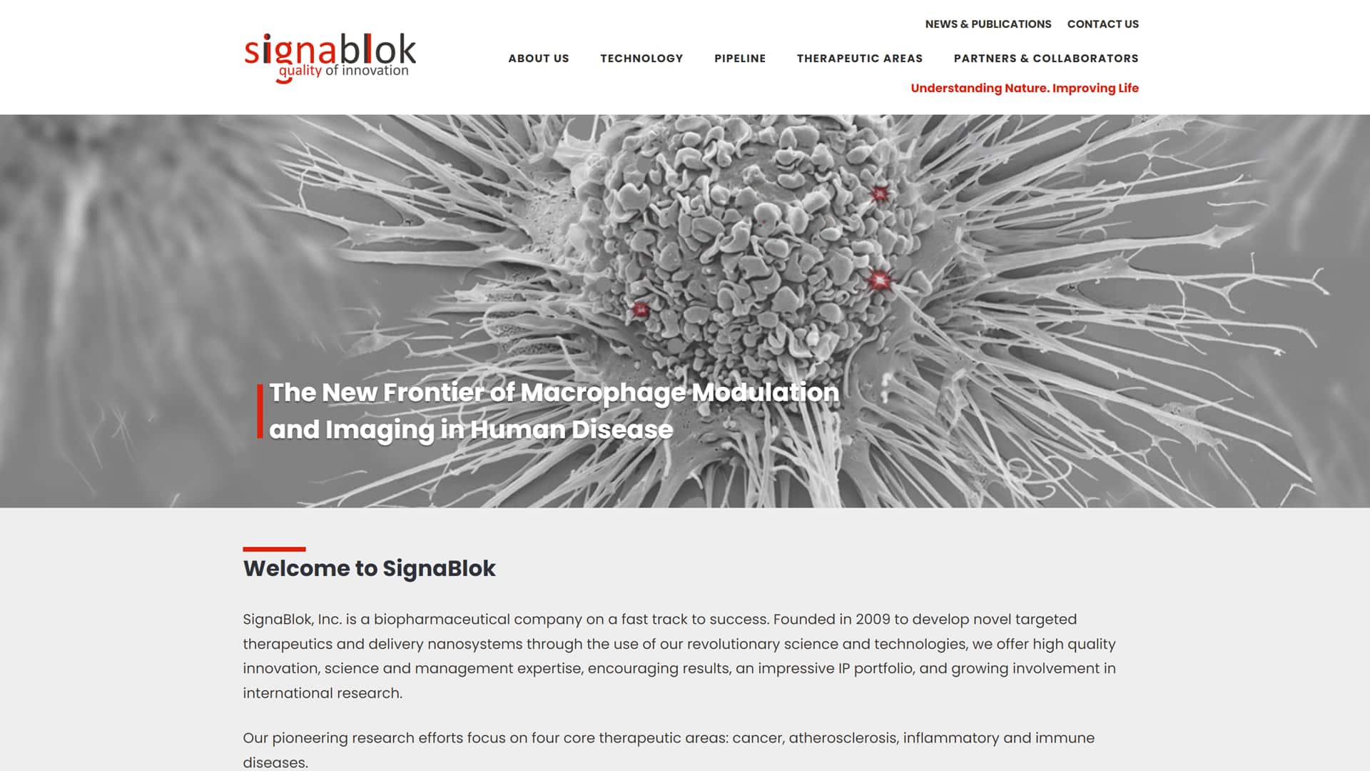 Signablok biotech website portfolio web project featured image