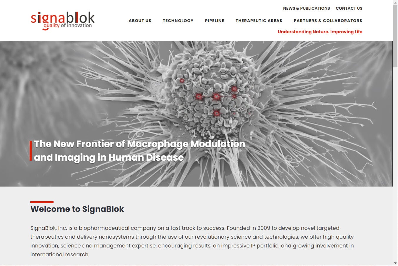 Signablok website desktop image