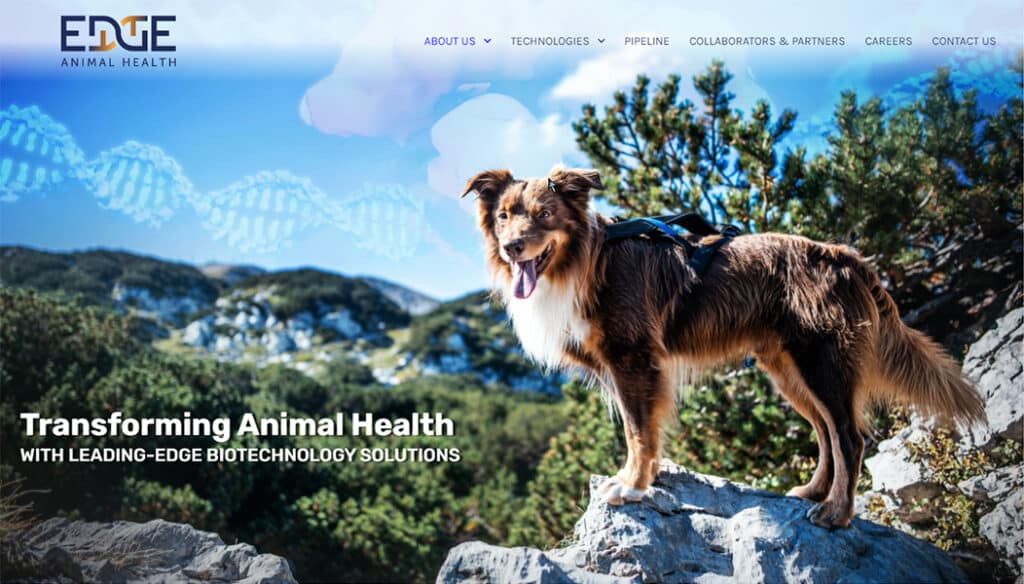 Edge Animal Health full banner image