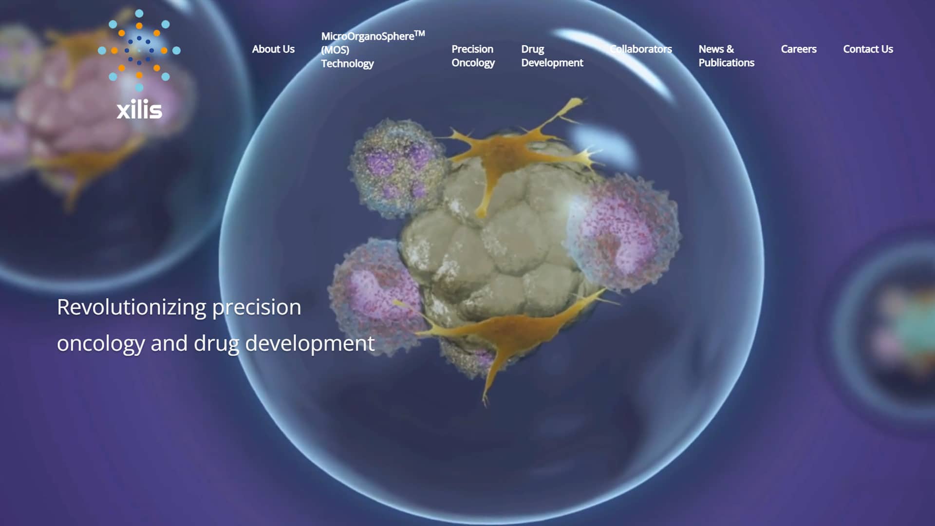Xilis biotech website portfolio web project featured image