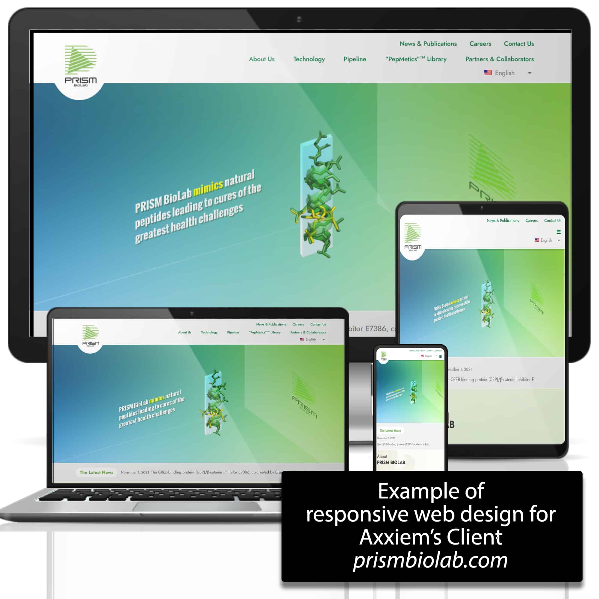 Biotech web design responsive design graphic image