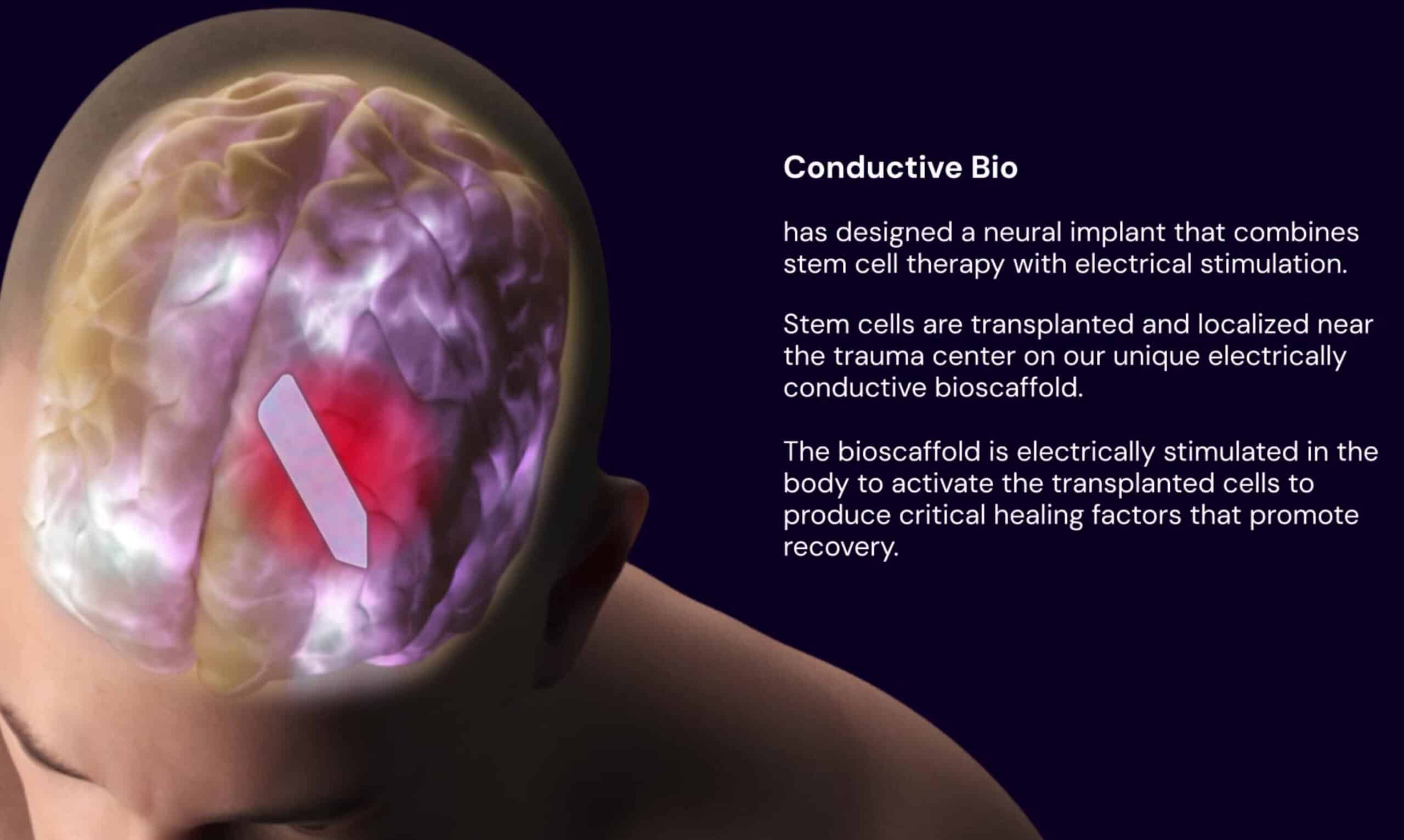 ConductiveBio Graphic image for biotech website animation