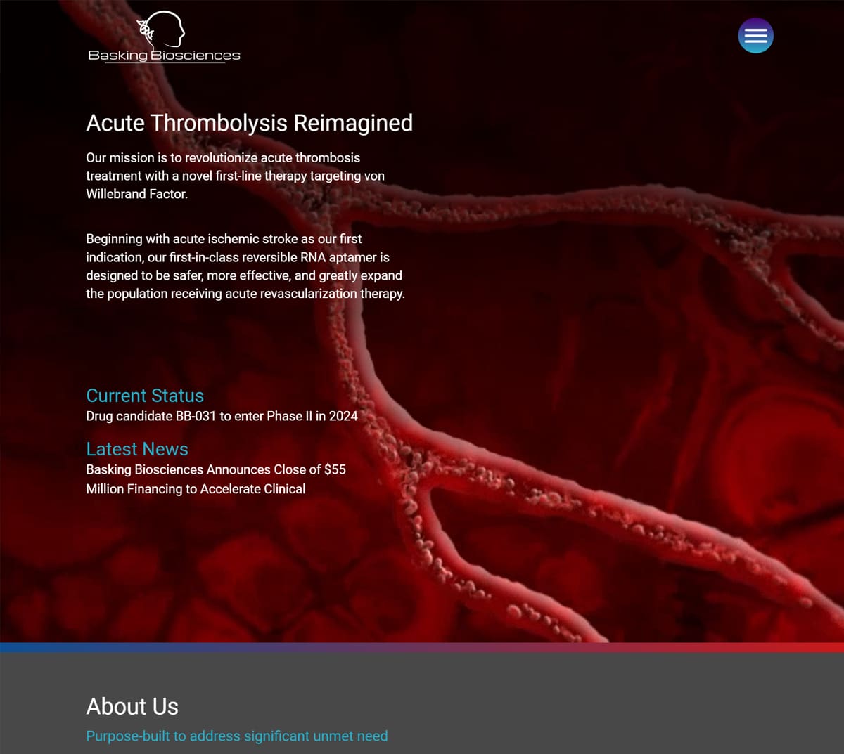 Basking Biosciences desktop image for biotech website design portfolio page.
