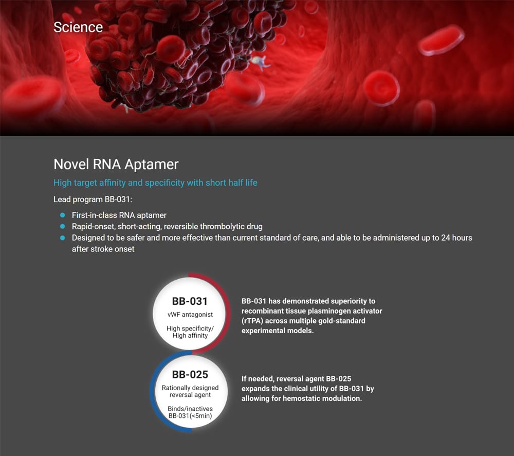 Basking Biosciences tablet image for biotech website design portfolio page.