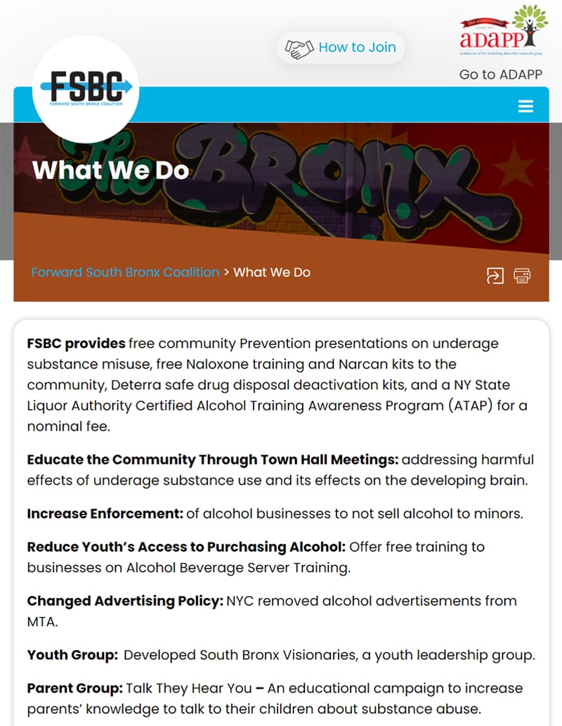 FSBC non-profit website design mobile image for portfolio