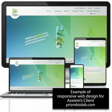 responsive web design example